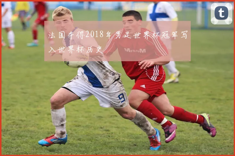 法国夺得2018年男足世界杯冠军写入世界杯历史