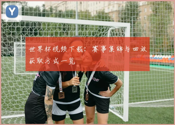 世界杯视频下载:赛事集锦与回放获取方式一览