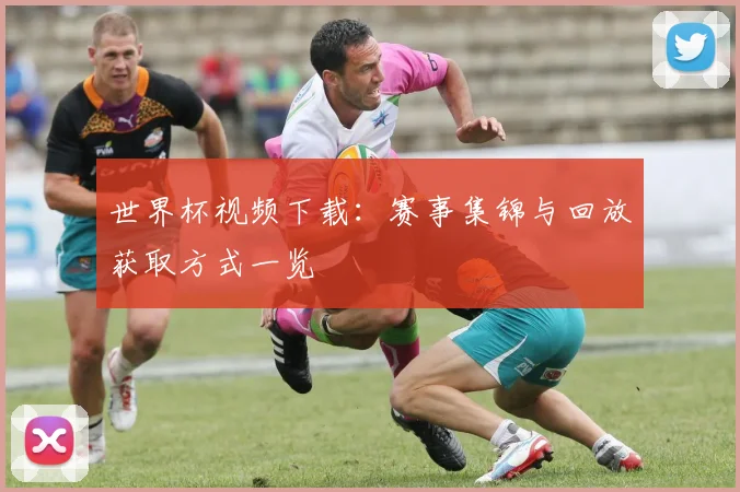 世界杯视频下载:赛事集锦与回放获取方式一览